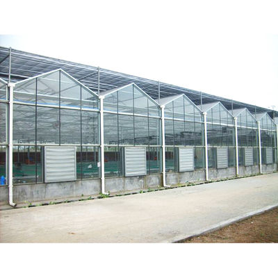 qualidade  Tomato Mushroom Growing with Commercial Hydroponic Systems Gothic Polycarbonate Cover Type Greenhouse fábrica