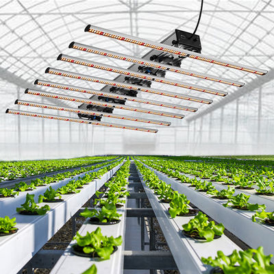 qualidade  Seed Starting Full Spectrum Cob Led Grow Light For Medicinal Plants Veg And Flower 1000W LED Grow Light fábrica