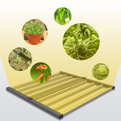 qualidade  Seed Seed Growing Full Spectrum 600W Indoor Plants Hydroponic Lamp Folding Greenhouse Lamp Dimmable 4x4 lm301h Led Grow Light fábrica